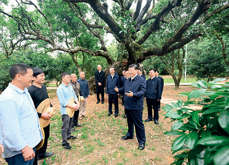 加快构建新发展格局　把握未来发展主动权